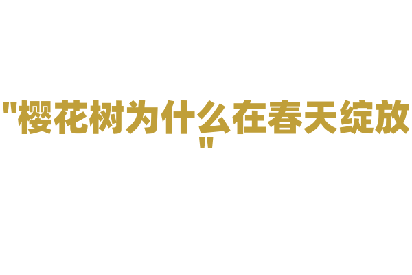 "樱花树为什么在春天绽放"